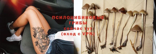 прущие грибы Красноперекопск