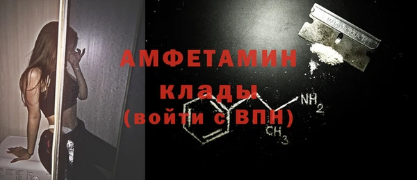 прущие грибы Красноперекопск