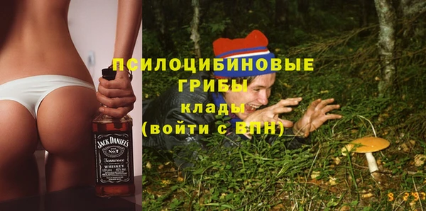 не бодяженный Краснотурьинск
