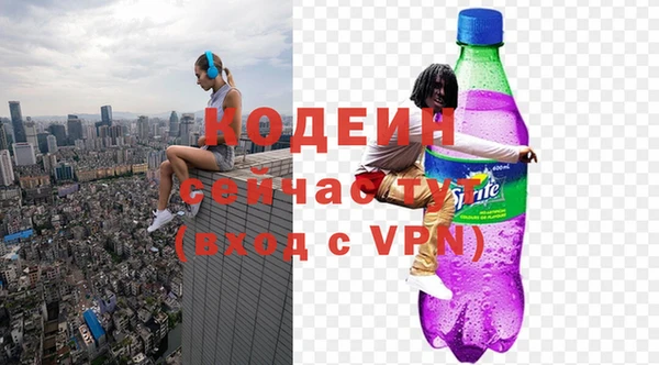 крисы Богородицк