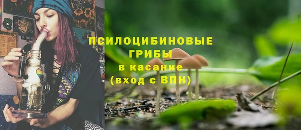 прущие грибы Красноперекопск