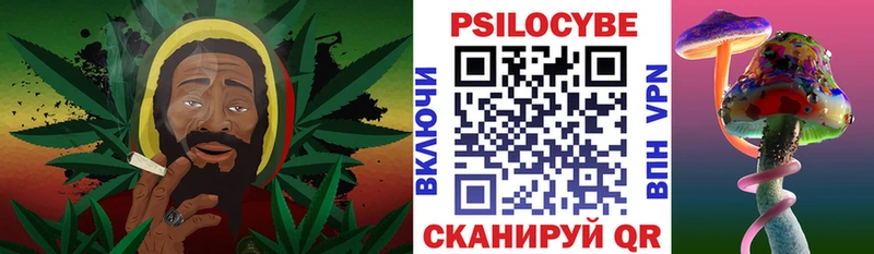 дарк нет Telegram  Киров  Галлюциногенные грибы Psilocybine cubensis  купить наркотики сайты 