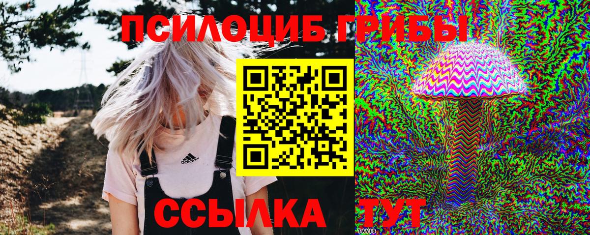 Галлюциногенные грибы прущие грибы Киров