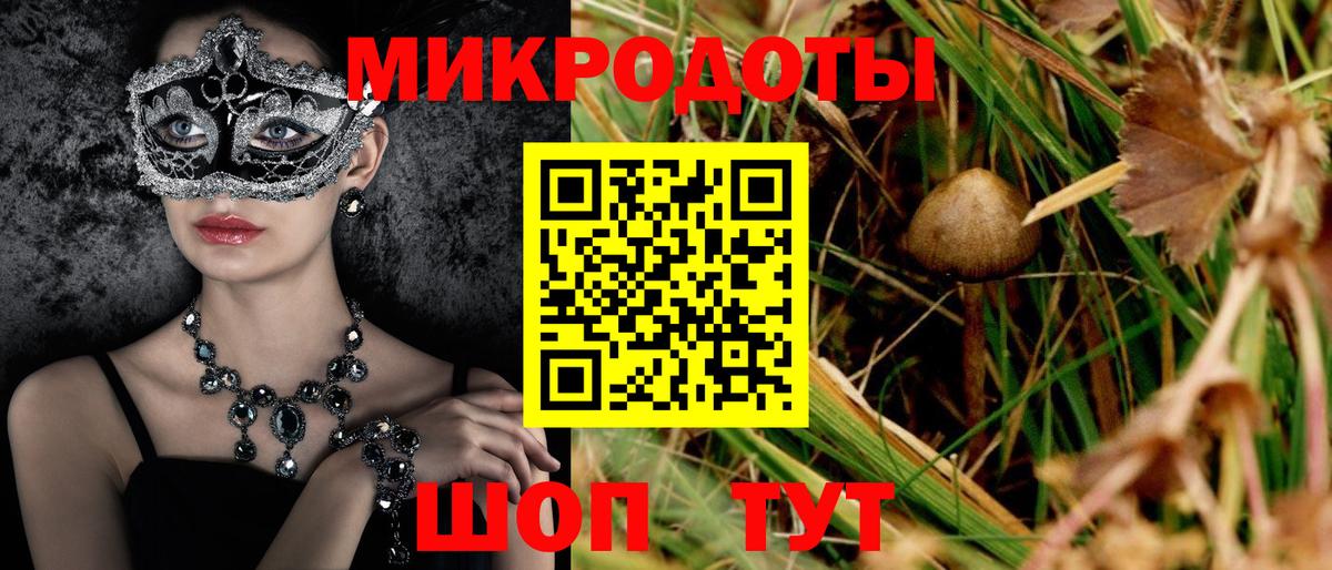 Галлюциногенные грибы Psilocybine cubensis Киров