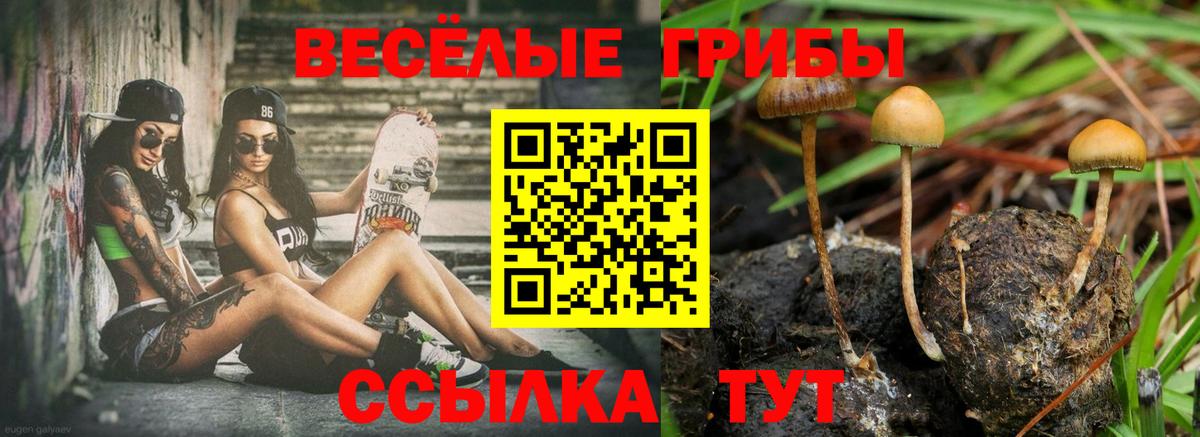 Псилоцибиновые грибы ЛСД  Вход с VPN  Киров 